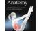 Pilates Anatomy