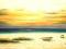NAJTANSZE888 Obraz olejny 30x60 cm Plaża Wieczorem
