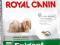 Royal Canin, MINI Exigent - 0,8kg