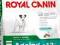 Royal Canin, MINI Ageing +12 - 0,8kg