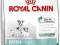 ROYAL CANIN MINI Starter - 3kg.