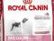 Royal Canin, MEDIUM JUNIOR - 4kg
