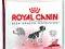 Royal Canin, MEDIUM ADULT - 4kg