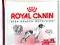 Royal Canin, MEDIUM MATURE - 4kg