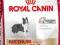 Royal Canin, MEDIUM Sensible - 4kg,