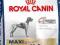 Royal Canin,MAXI  SENSIBLE, 4kg.