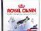Royal Canin, MAXI ADULT, 4kg.