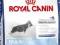 Royal Canin, MAXI JUNIOR  - 1kg.