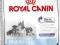 Royal Canin, MAXI STARTER, 1kg.