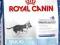 Royal Canin, MAXI JUNIOR ACTIVE, 1kg