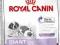 Royal Canin,GIANT STARTER 4kg.