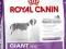 Royal Canin,GIANT JUNIOR - 4kg.