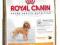 Royal Canin Poodle 30 - 1,5kg.