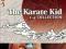 KARATE KID 1-4 COLLECTION (4 DVD): Ralph Macchio