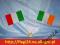 Flaga Irlandii 17x10cm - flagi Irlandia Irlandzka