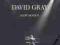 DAVID GRAY - LIVE IN SLOW MOTION DVD