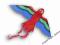 Fuuny Parrot - latawiec jednolinkowy dla dzieci