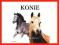 Konie - Jon Stroud [nowa]