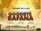 GOODBYE BAFANA DVD