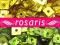 rosaris - KWADRACIKI Z DZIURKĄ ** nowe kolory **