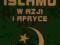 Cywilizacja Islamu w Azji i Afryce - Marek M. Dzi