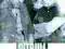 PITBULL SEZON 3 (4 DVD)