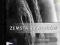idvdpl ZEMSTA ŻYWIOŁÓW DVD3