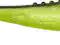 DRAGON 40-140 Guma V Lures LUNATIC 12,5cm