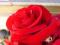 Rosa 'Santana' - Róża pnąca [RÓŻA GIGANT] !!!