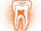 DENTYSTA-TORUŃ.PL - domena IDN (dentysta toruń)