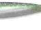 SHAKER 3,25" - #165 - SEAFOM SHAD