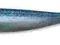 SHAKER 3,25" - #170 - BABY BLUE SHAD