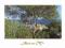 Plakat obraz 70x50cm EMA-S259 LANDSCAPE AT BORDIGH