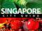 SINGAPUR - Lonely Planet CityTravel Guide