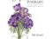 A-Z of Flower Portraits: An Illustrated Guide to P