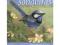 Painting Songbirds with Sherry C. Nelson: 15 Beaut