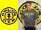 GOLD'S GYM KOSZULKA SZARA LOGO GREEN HIT GOLDS M