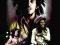 Bob Marley Destiny - plakat 40x50 cm