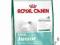 ROYAL CANIN MINI JUNIOR 1 KG YORK SHIH ORYGINAŁ!