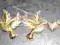 gołąbki z serduszkiem złote -pół metra 12kpl