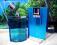 DUNHILL DESIRE BLUE FOR A MAN 100ML WWA-WOLA SKLEP