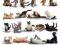 Yoga cats plakat 61x91,5 cm