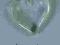 Serduszko Serce Kryształ Górski          2412b