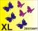 Naklejki na ścianę , motyle, motylki XL zestaw