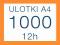 ULOTKI A4 1000 szt jednostronne w 12 godzin