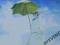 Kobieta z parasolką wg.Monet 40 x 30 cm olejny