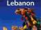 SYRIA & LEBANON Travel Guide - Lonely Planet