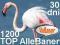 TOP AlleBaner 1200 30dni - najlepszy panel aukcji