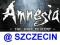 gra Amnesia Mroczny Obłęd Dark Descent PC Szczecin