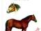 Konie - leksykon przyrody